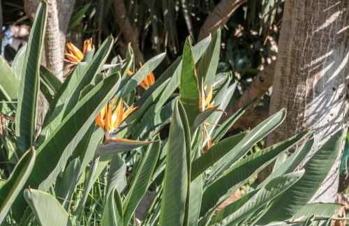 Seaport Aguadulce Beach - Foto 64