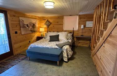 Bearly Behavin - Foto 6