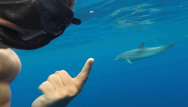 Sao Jorge Snorkeling Tour - Photo 5, Snorkel in Urzelina