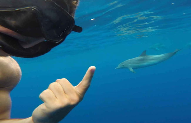 Sao Jorge Snorkeling Tour - Photo 5