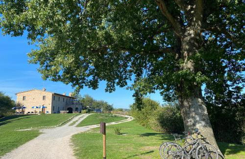 Agriturismo Cà Ferro - Foto 5