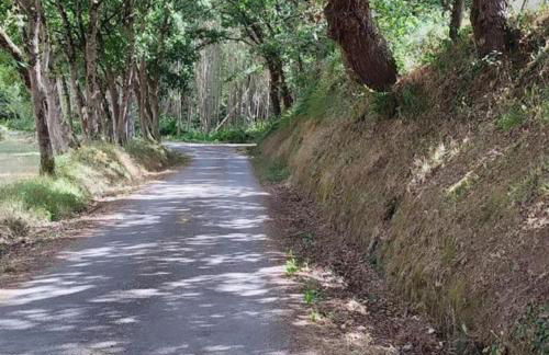 Casa Da Praia - Foto 43