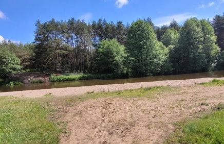 Leśne Apartmani Biała - Foto 15