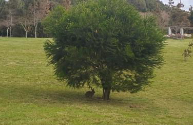 Casa do Calço - Foto 52