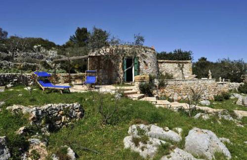 Pajara Rugiada - Foto 7