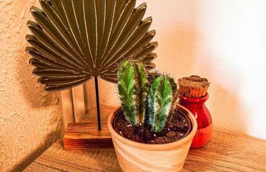 JOLI STUDIO AVEC PARKING ET NETFLIX - Proche du palais des exposition, du stade de Beaublanc et du Zenith - Foto 29