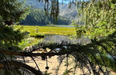 Lindners Hideaways - Gutshof Pine Retreat - Sauna - In Villa - Terrasse - Garten mit Rehgehege - Frühstück verfügbar - SKI - Arber - Osser - bis 5 Pers - Photo 29