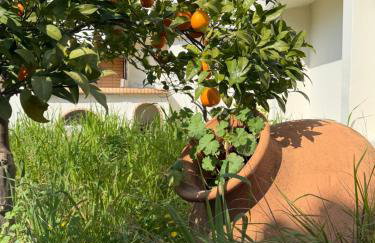 Apollon Heritage House - Photo 7