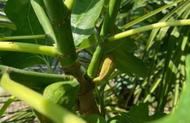 Outdooredo Garda Apartment - Foto 30