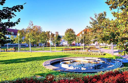 Studio apartman CENTAR - Foto 10