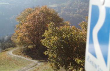 Weingut Theodor Nies - Foto 18