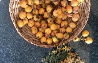 Your Vintage Townhouse - Foto 65