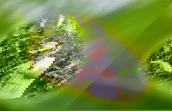 Casa Tien - Photo 54