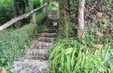 Holiday home Mrežnički šum - Foto 39