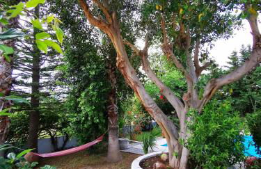 Villa Irene - Photo 92