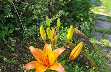 Finca Axarquía de Gredos - Photo 73
