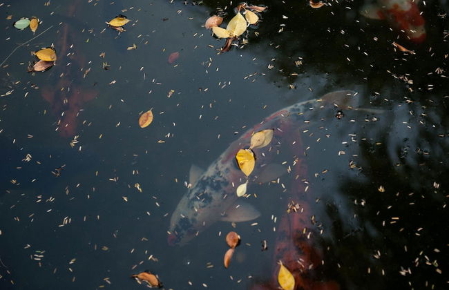 De Werf Lodge - Photo 30