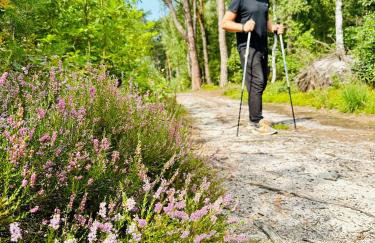 Cesemino Farmhouse - Foto 22