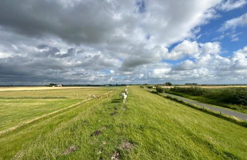 Ferienhof HaaBo - Foto 13