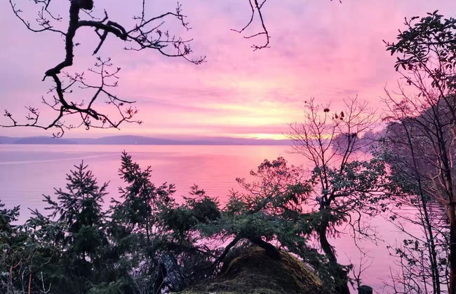 Sea La Vie Rare Peaceful Hidden Gem - Photo 19