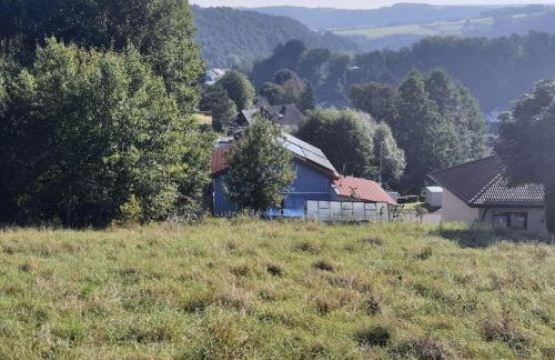 Holzhaus Chalet Nationalpark Eifel Hund willkommen - Foto 2