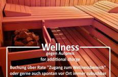 Vulkaneifeloase optional mit Sauna - Foto 23