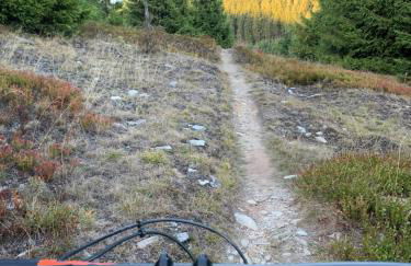 Rennsteig-Pension Trautwein - Foto 52