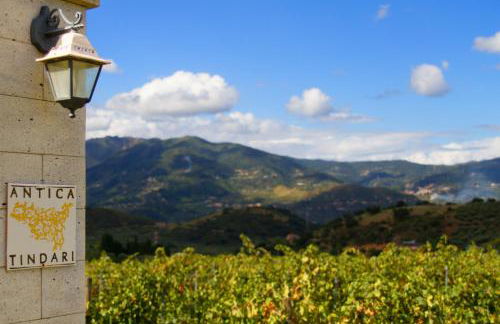 Antica Tindari - Foto 61