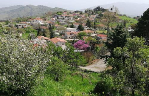 VILLA EYTIXIA - Mendenitsa - Foto 28