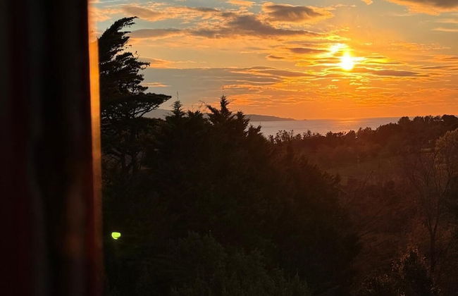 Résidence Château d'Acotz - Foto 50