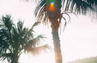 Hotel Rural La Casa Amarilla - Foto 38