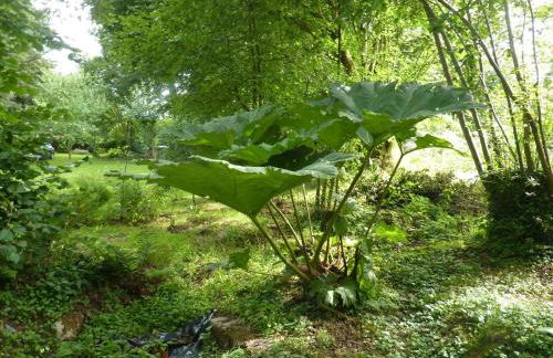 Holiday Home in Huelgoat near Monts d'Arrée - Foto 36