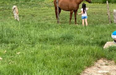 El Cabezuelo - Foto 33