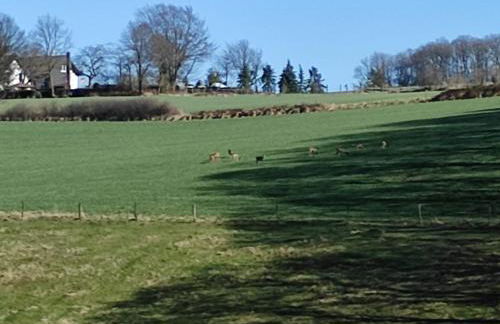 Apartment Santana 4-59 mit Aufzug und Balkon - Foto 36