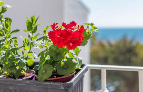 Luz de Altea - Photo 24