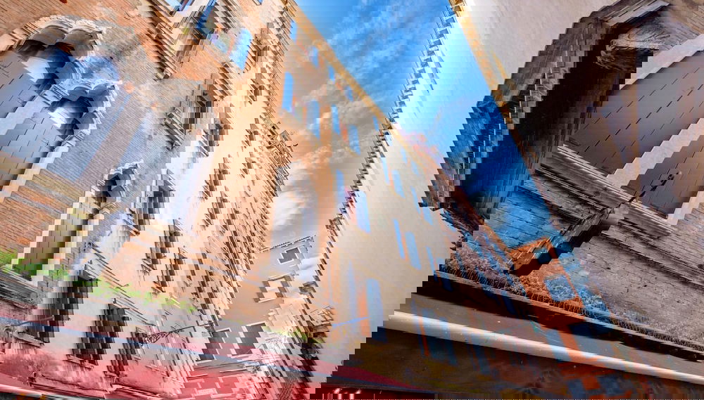 Lion 2 - Foto 1, Imagen principal