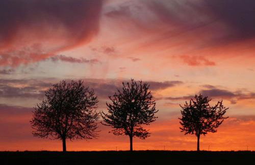 Hill-view Holiday Home in Dankerode near Lake and Hiking - Foto 15