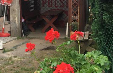 Apartament Pod Kasztanami - ZIELONY - Foto 32