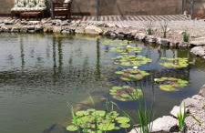 Finca La Punta - Foto 67