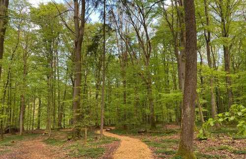 Ferienwohnung Schloss Heldritt - Foto 12