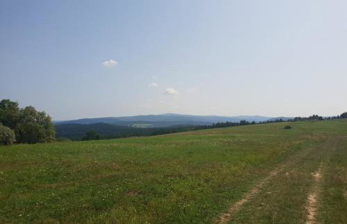 Przystanek Letnisko - Foto 23