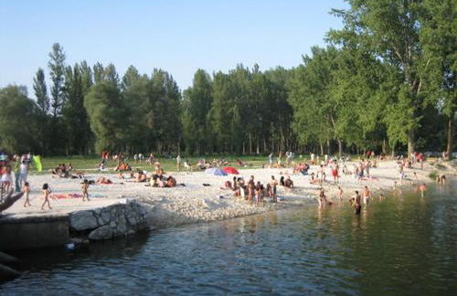 Vivienda uso turistico El Vie - Photo 16