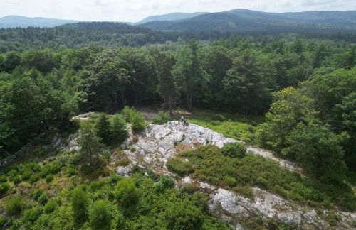 earthship forest exile - Foto 41