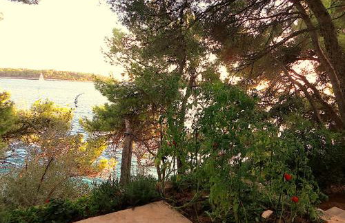 Villa V, 4-star 2-floor 1-apartment seaside property with great outdoors - Foto 11