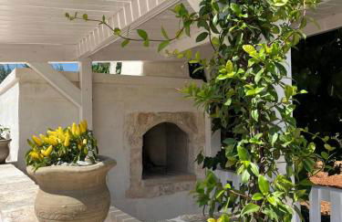 Domus Petri 1908 - Foto 39