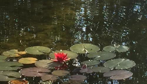 Holly's Lodge - Photo 5