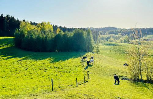 Cisowe Wzgórze - Foto 72