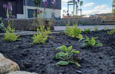 Zur Wilhelmine - Landgut 1779 - Foto 6