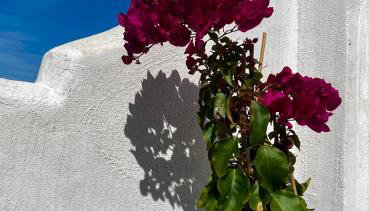 Casa San Miguel - Foto 4