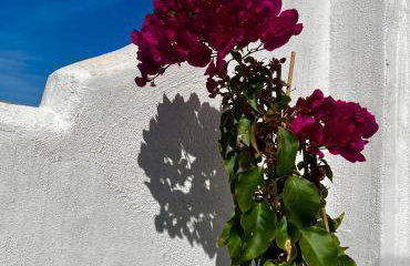 Casa San Miguel - Foto 4